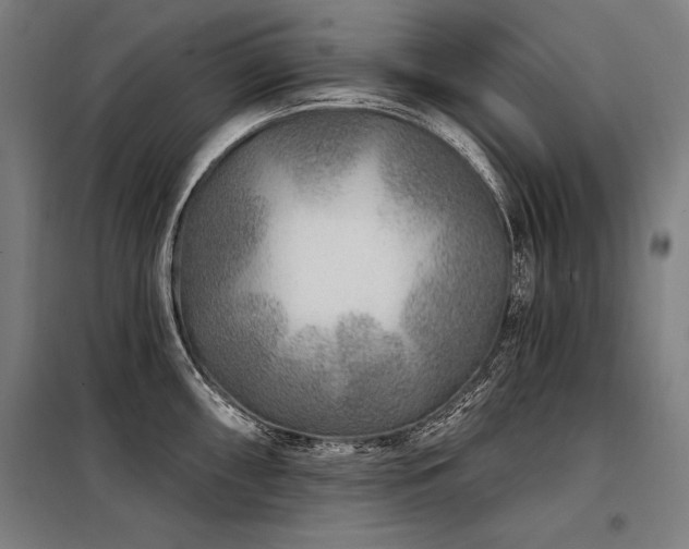X0000098171098200804241150
