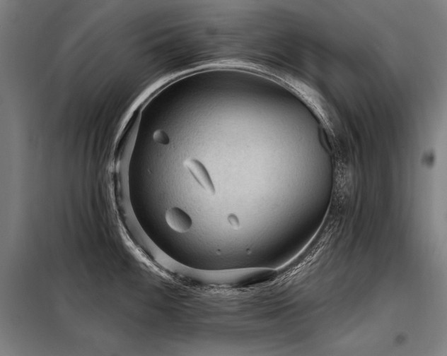 X0000098171100200804241150