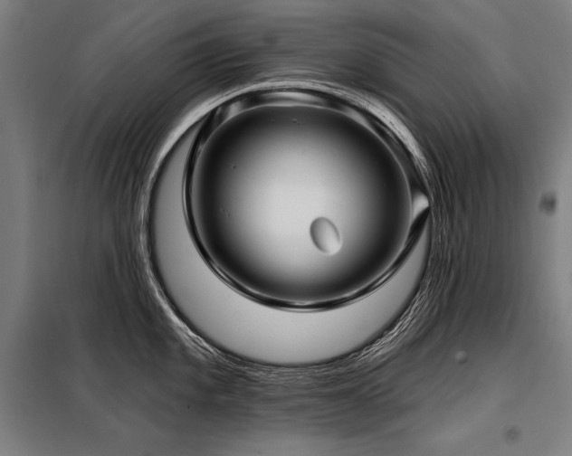 X0000098171101200804241150
