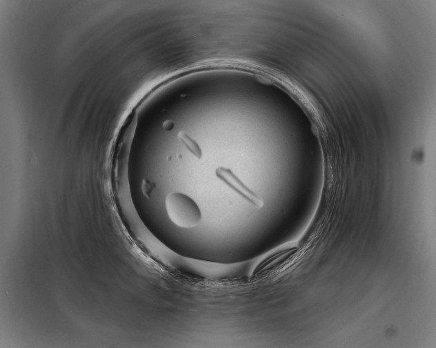 X0000098171102200804241150