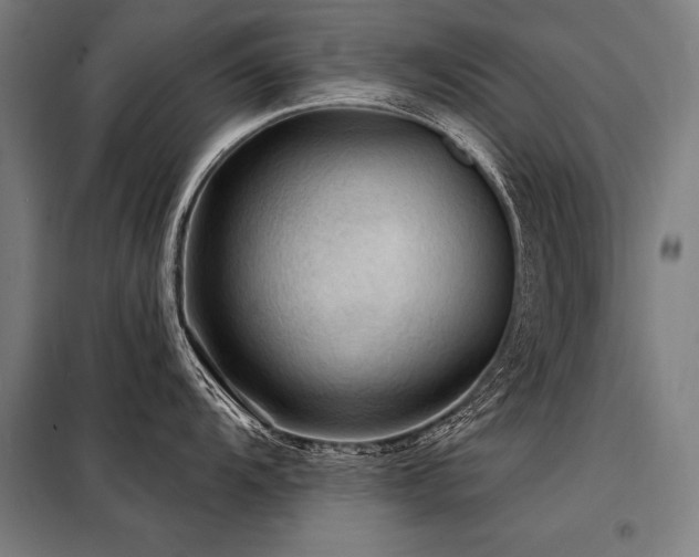 X0000098171104200804241150