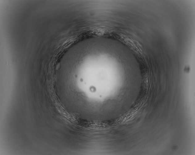 X0000098171105200804241149