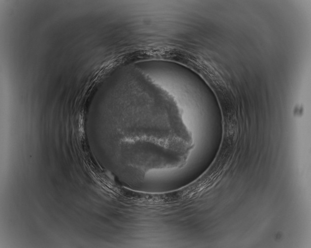 X0000098171106200804241149