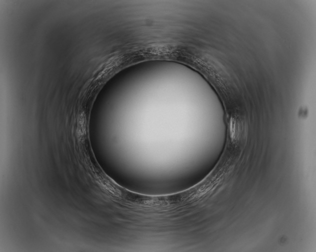 X0000098171107200804241149