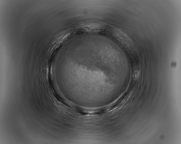 X0000098171108200804241149