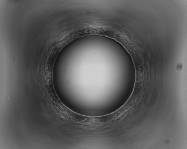 X0000098171109200804241149