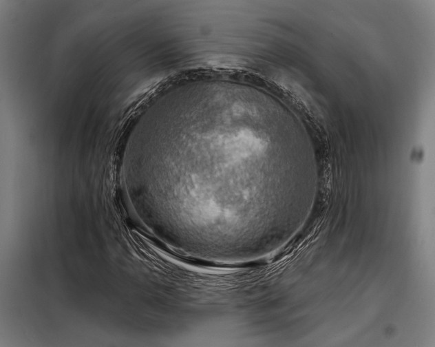 X0000098171110200804241149