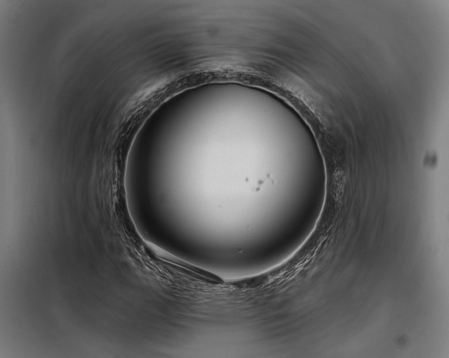 X0000098171111200804241149