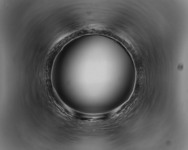 X0000098171112200804241149
