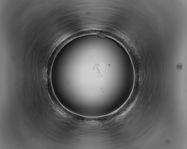 X0000098171113200804241149