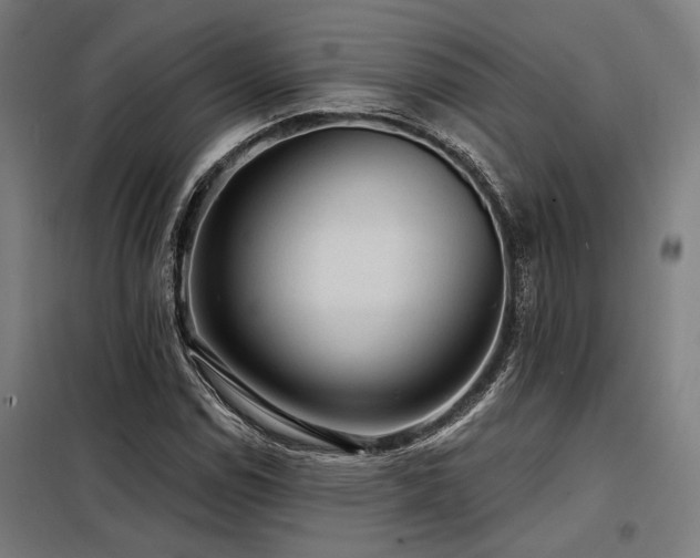 X0000098171114200804241149