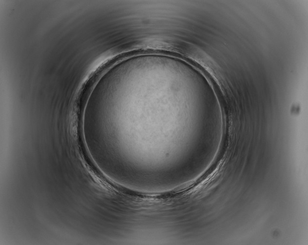 X0000098171115200804241149