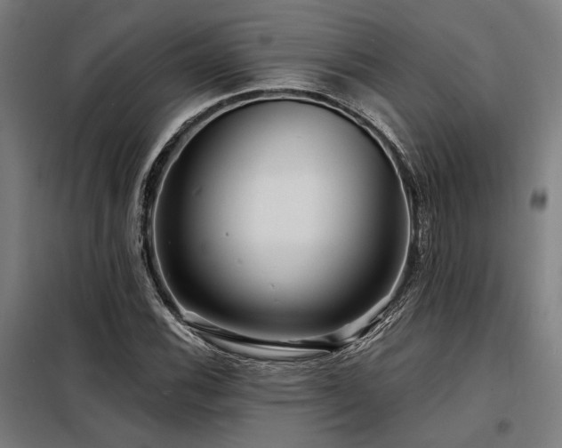 X0000098171116200804241149