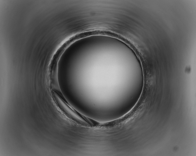 X0000098171118200804241149