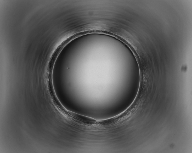 X0000098171119200804241149