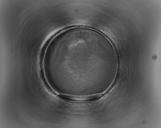 X0000098171120200804241149