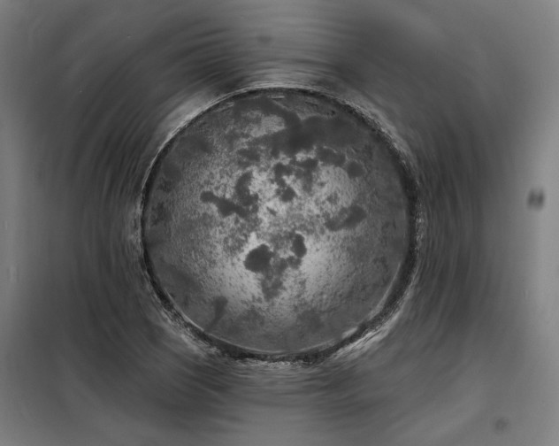 X0000098171121200804241149