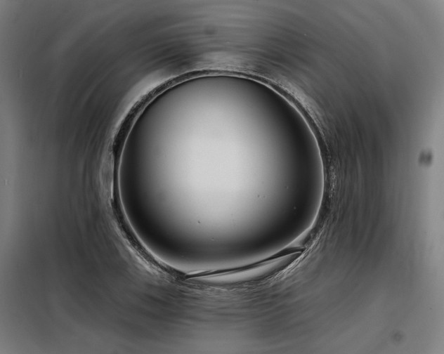 X0000098171123200804241149