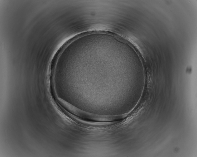 X0000098171124200804241149