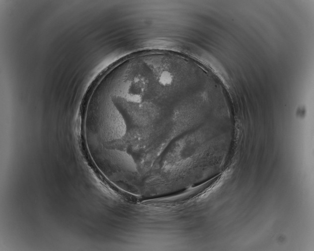 X0000098171125200804241149