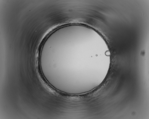 X0000098171126200804241149