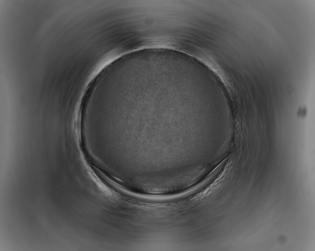 X0000098171127200804241149