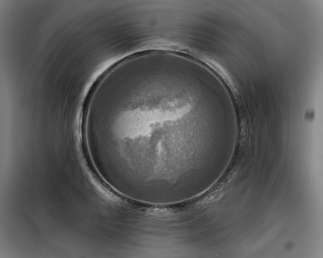 X0000098171128200804241149