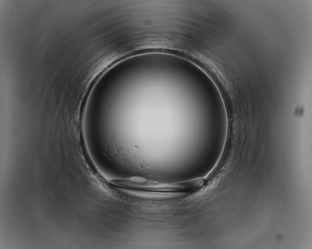 X0000098171129200804241149