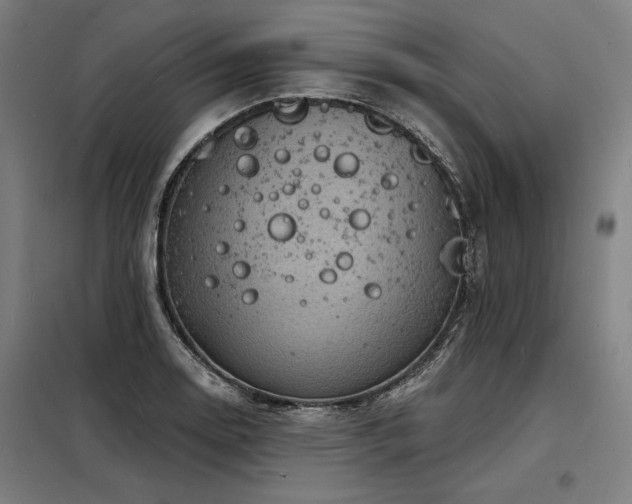 X0000098171130200804241149
