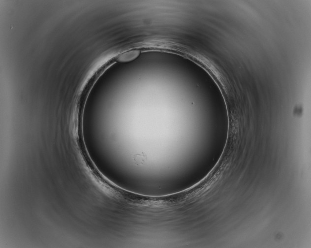 X0000098171131200804241149