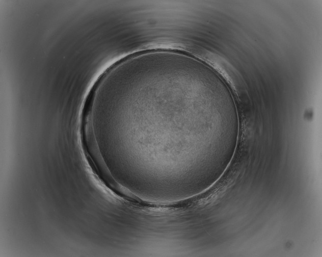 X0000098171132200804241149