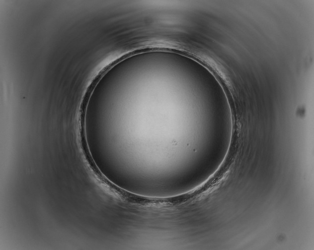 X0000098171133200804241149