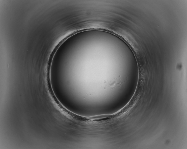 X0000098171134200804241149