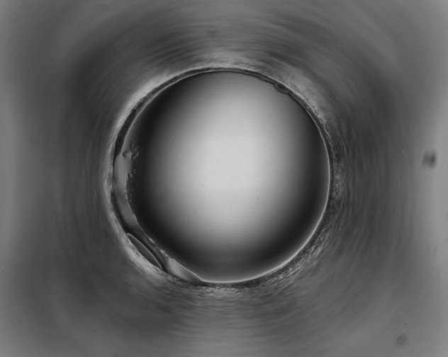 X0000098171136200804241150