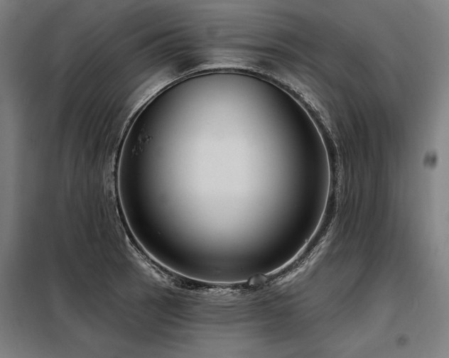 X0000098171137200804241150