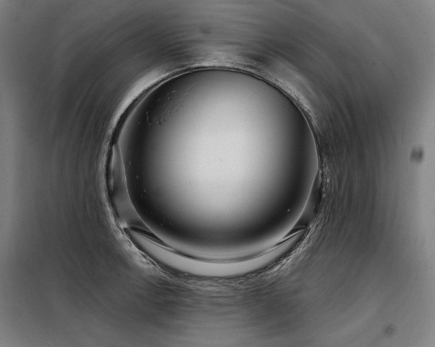 X0000098171138200804241150
