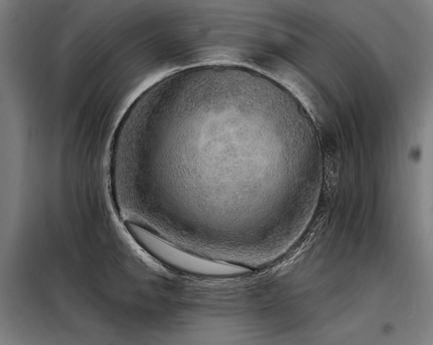 X0000098171142200804241150