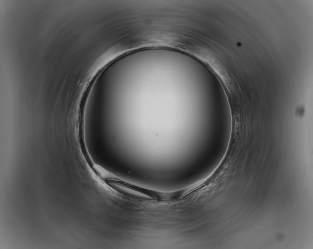 X0000098171143200804241150