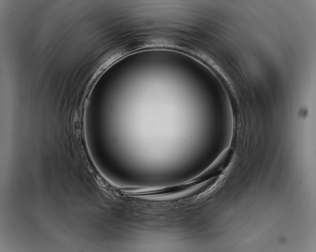 X0000098171145200804241150
