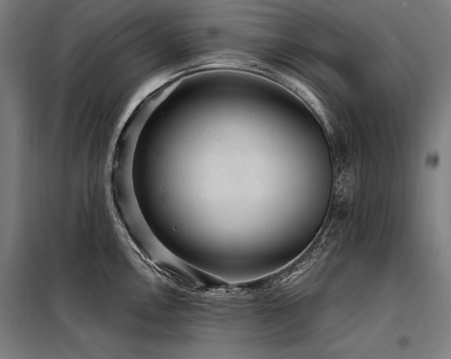 X0000098171146200804241150