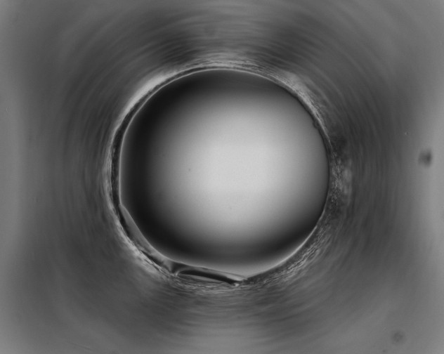 X0000098171147200804241150
