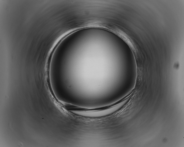X0000098171148200804241150