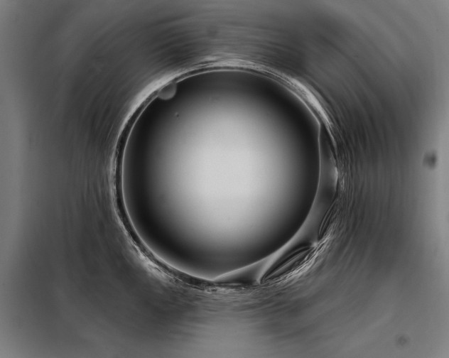 X0000098171149200804241150