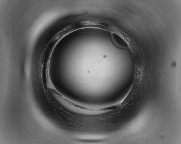 X0000098171151200804241150