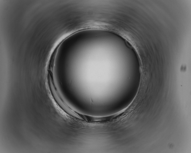 X0000098171152200804241150