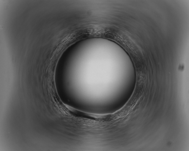 X0000098171153200804241149