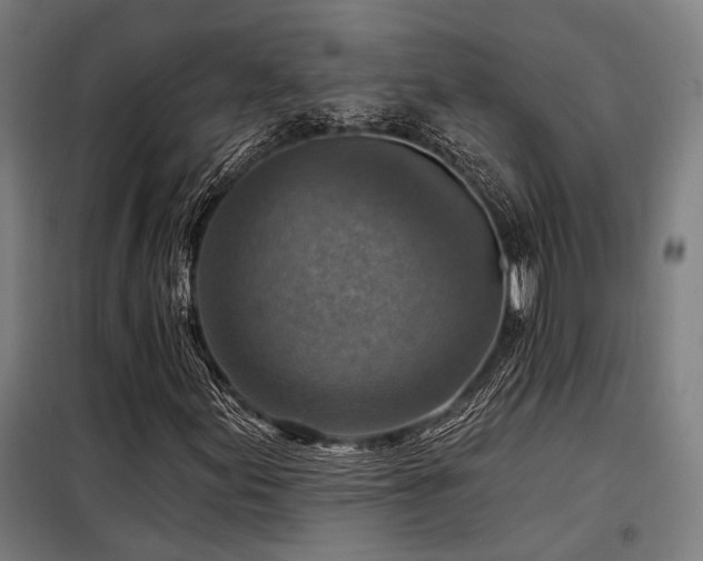 X0000098171155200804241149