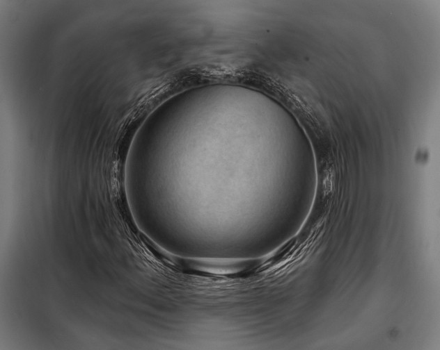 X0000098171156200804241149