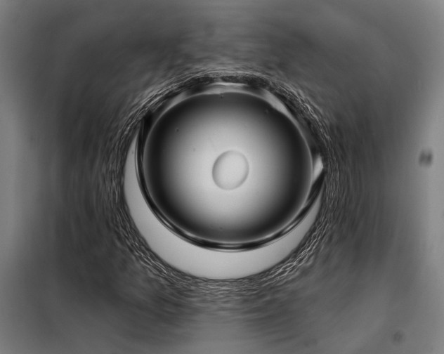 X0000098171157200804241149