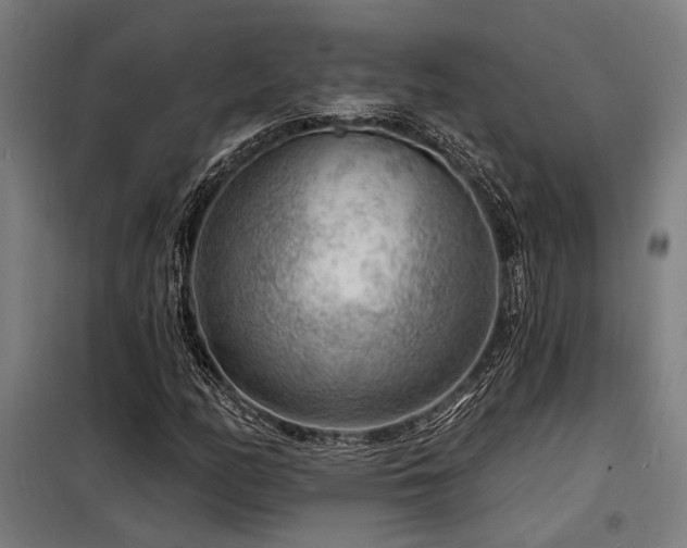 X0000098171158200804241149